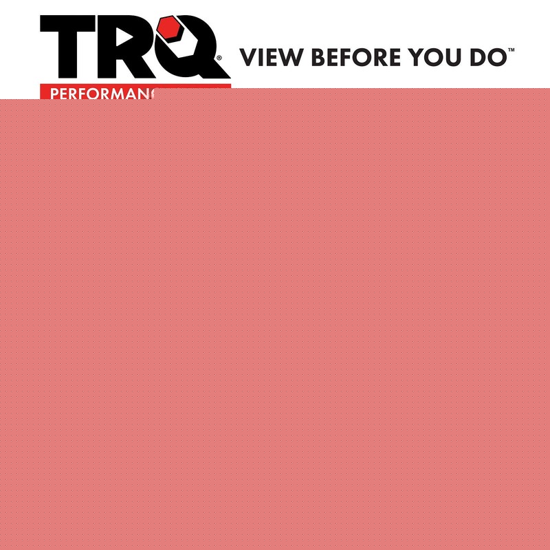 TRQ Brake Rotor & Coated & Ceramic Pad Front Kit w/Chemicals for Nissan