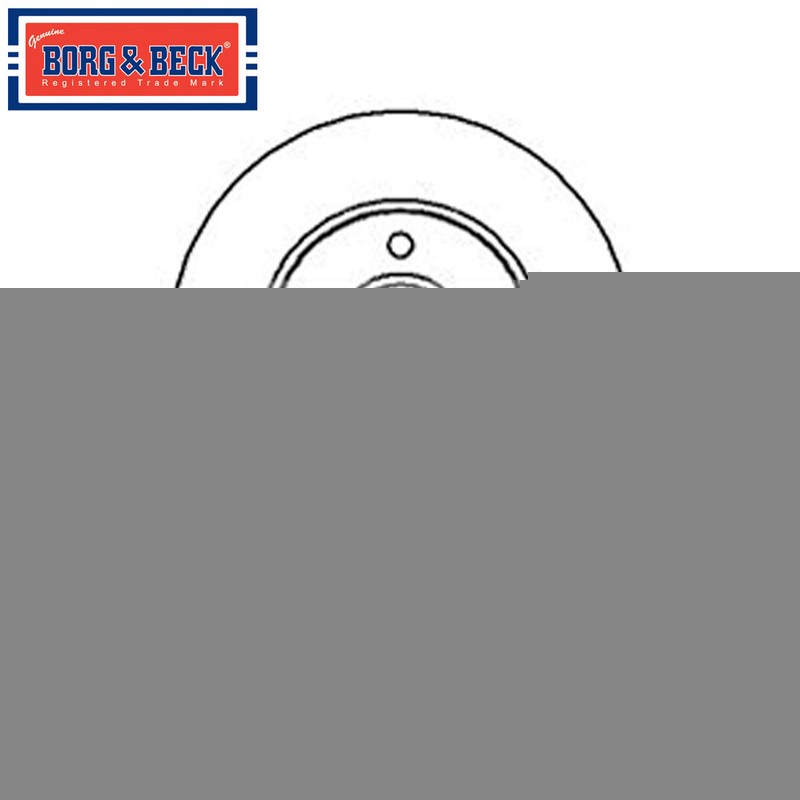 Borg & Beck Front 1x Brake Disc Fits Ford Fiesta Focus Fusion + Other Models
