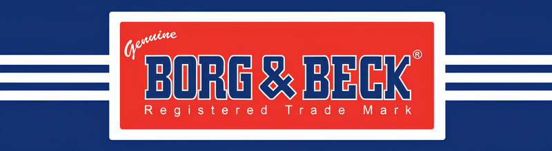 x2 Borg & Beck Rear Brake Discs Pair Fits Aston Martin Toyota BBD4561 gallery