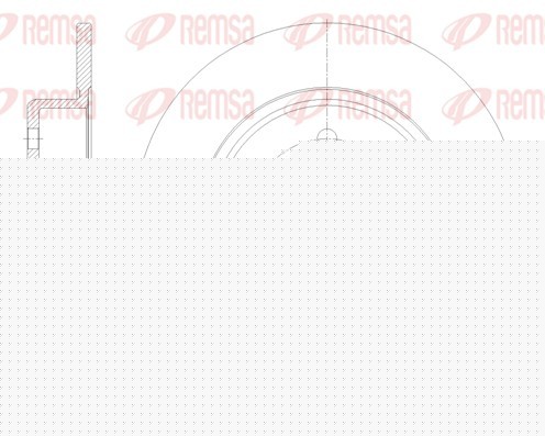 Remsa 61792.00 Brake Disc