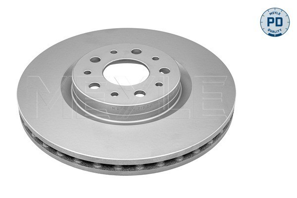 2X 215 523 0037/PD MEYLE Brake Disc for Fiat