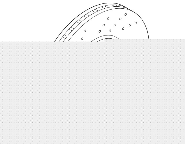 Genuine BMW Rotor Left 34-11-8-072-017