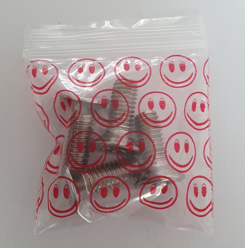 AUDI A3 S3 8L VW Brake Disc Retaining Screws A4 Stainless Steel N10648301