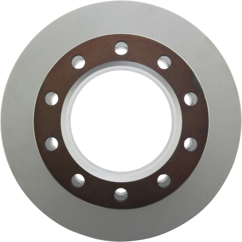 Centric Rear Disc Brake Rotor for P30, P3500 (320.66032F)