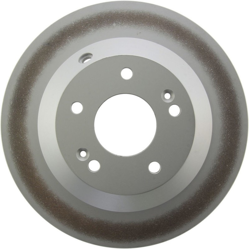 Disc Brake Rotor-GCX Elemental Protection – Full Coating, High Carbon Content