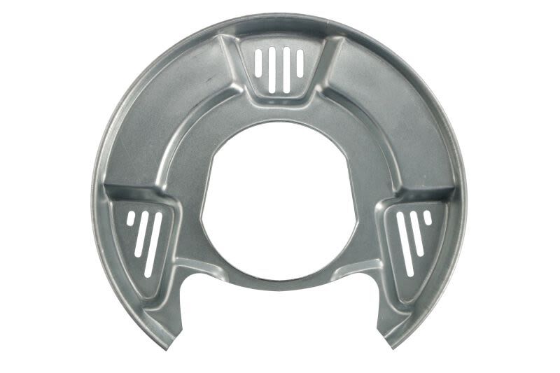 Splash Guard, brake disc BLIC 6508-03-8160877K
