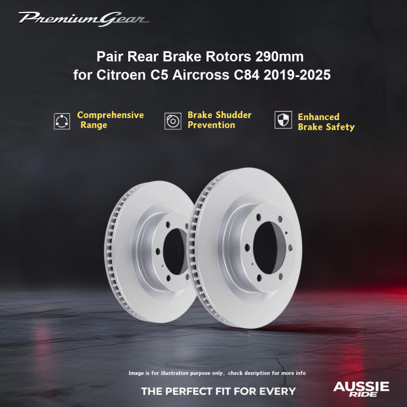 Pair Rear Brake Rotors 290mm for Citroen C5 Aircross C84 2019-2025