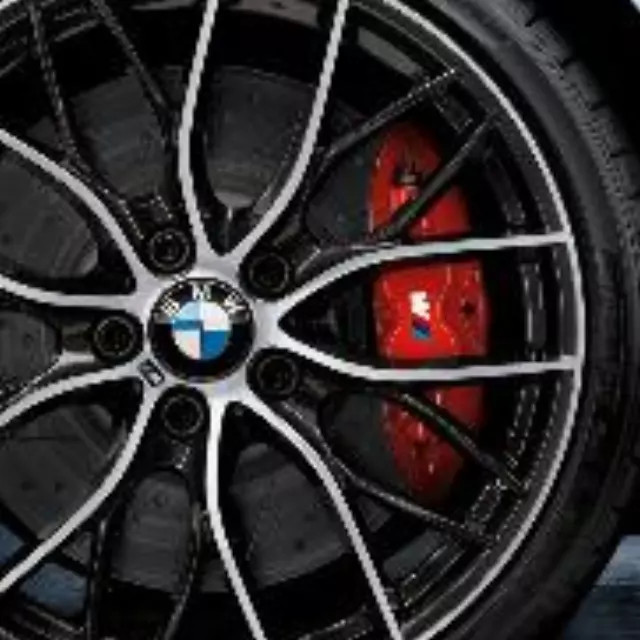 Genuine BMW M Performance Rear Brake Discs – (Set Of 2) 34-20-6-797-600