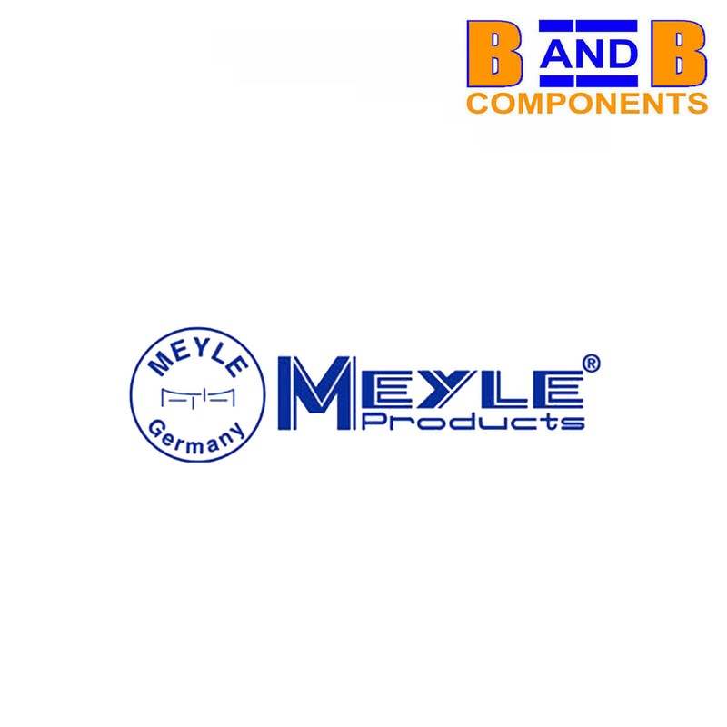 MEYLE 1155211025 FRONT BRAKE DISCS VW T25 T3 TRANSPORTER CARAVELLE 251407617D gallery