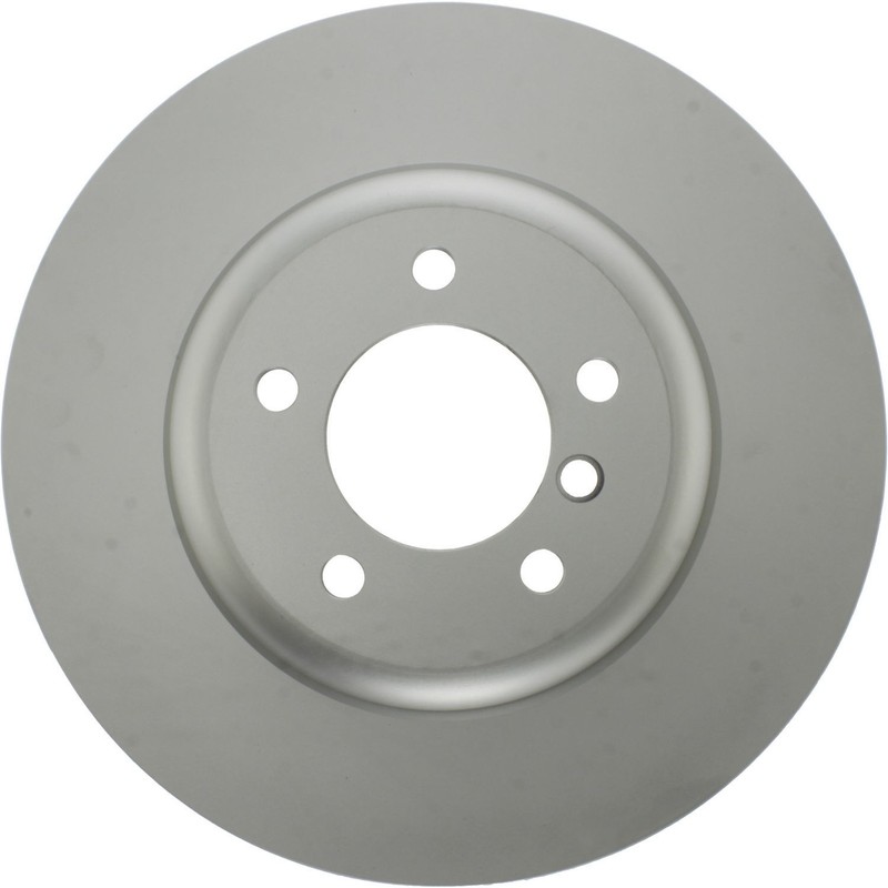 Disc Brake Rotor-GCX Elemental Protection – Full Coating, High Carbon Content