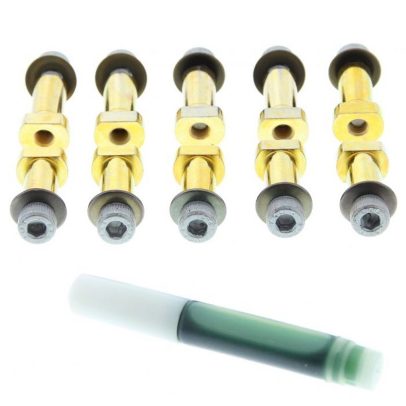 StopTech Pin Kit 6 mm For 328mm and Smaller BBK Rotors