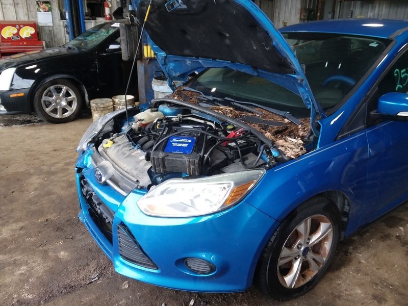 Front Brakes Rotor Only Electric EV Fits 12-18 FOCUS 2096742