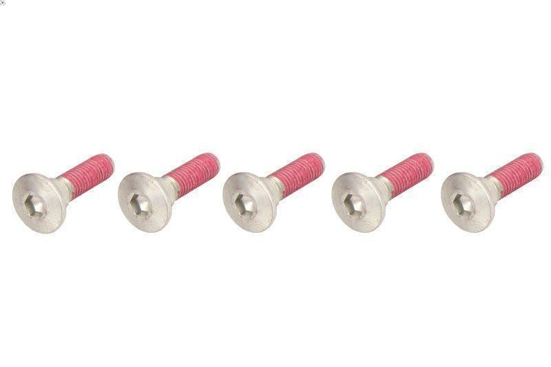 Bolt, brake disc TRW MSS122-5