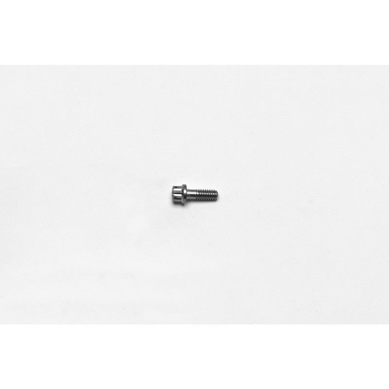 Wilwood Bolt Kit | Stainless Steel | Rotor Bolt | 12pt 1/4-20 X .75 L